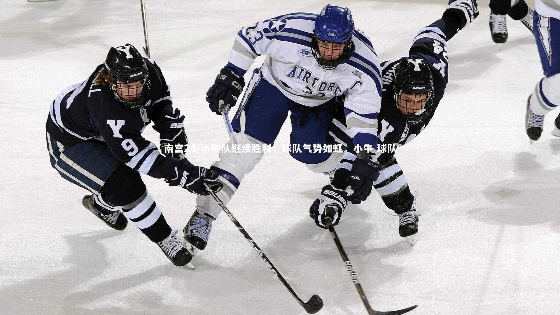 小牛队继续胜利，球队气势如虹，小牛 球队