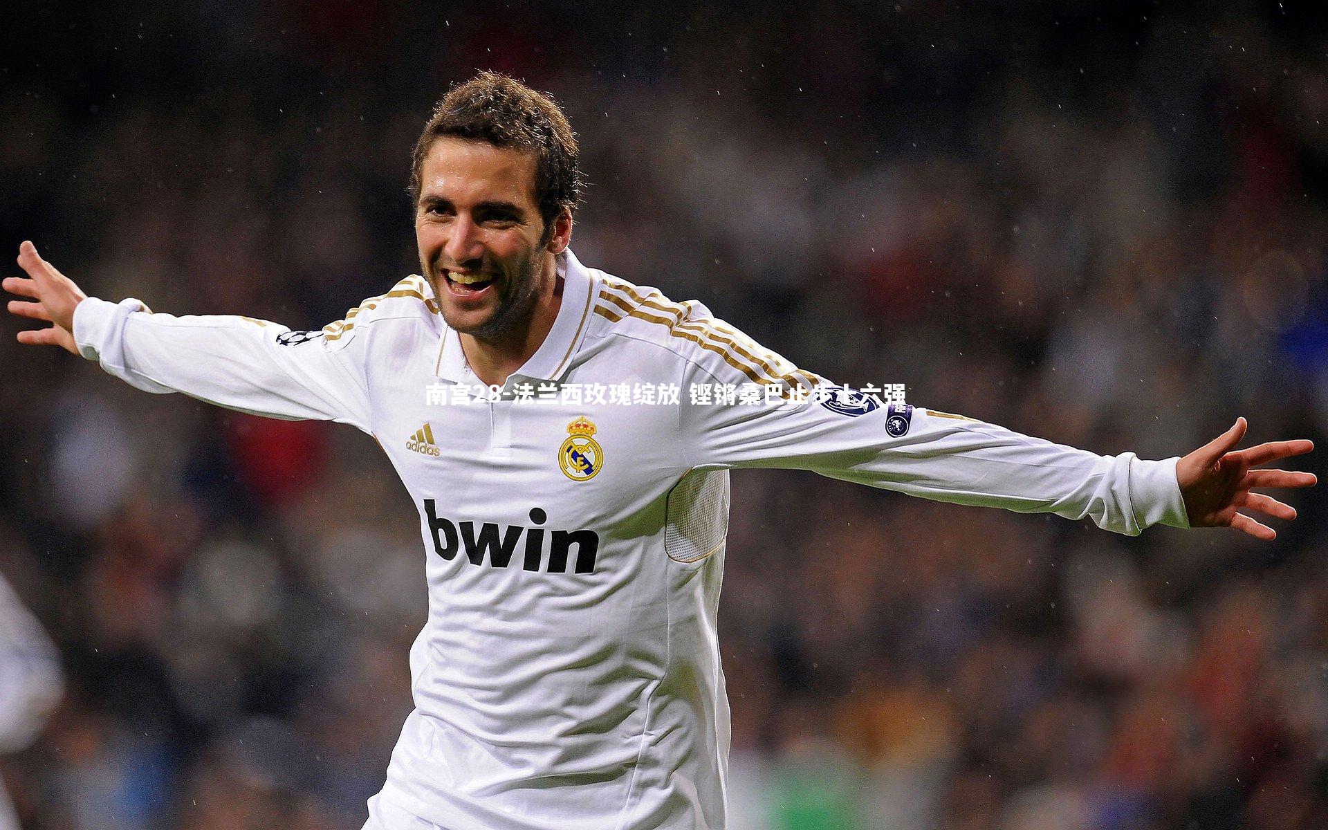 法兰西玫瑰绽放 铿锵桑巴止步十六强