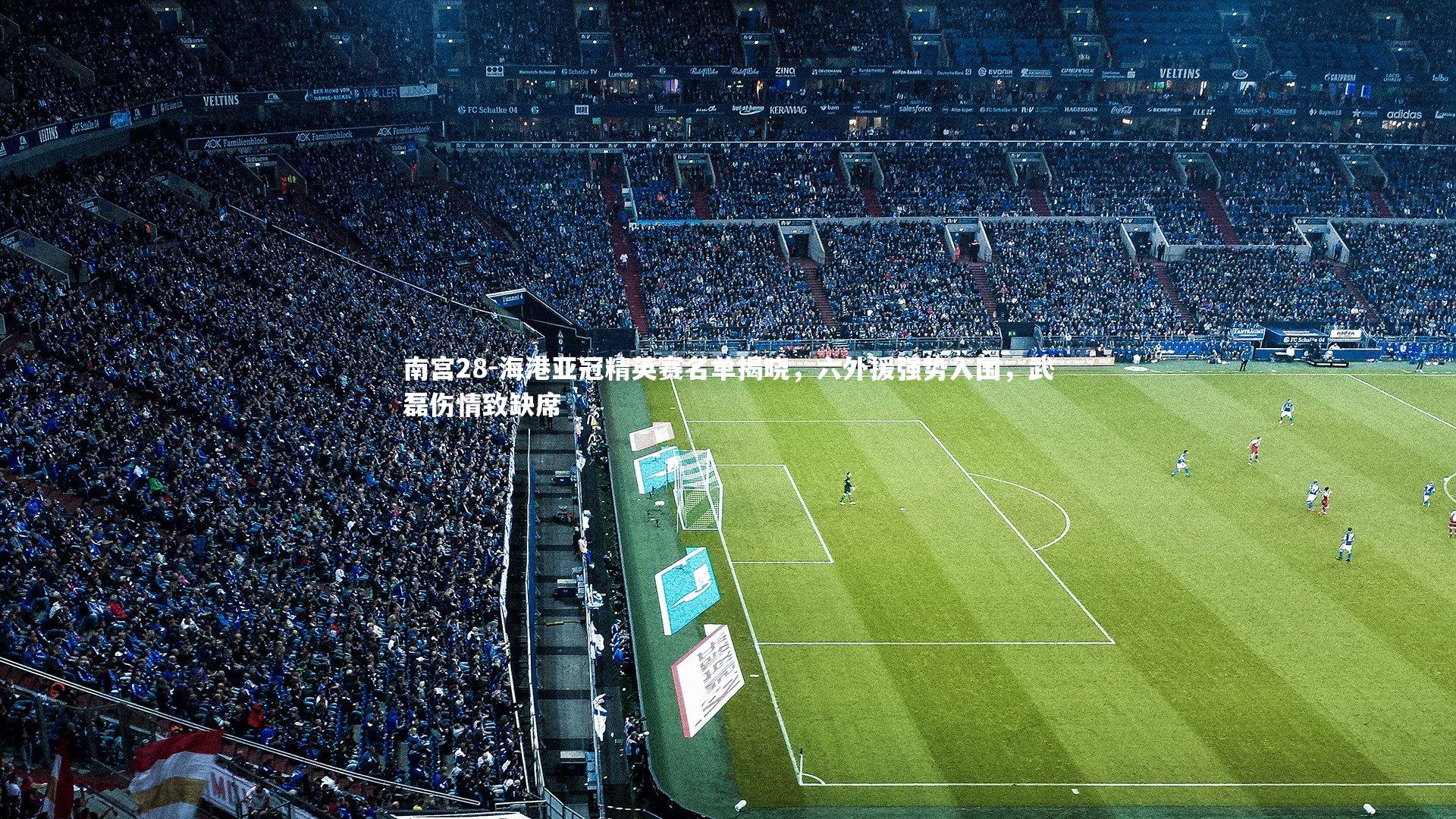 海港亚冠精英赛名单揭晓，六外援强势入围，武磊伤情致缺席