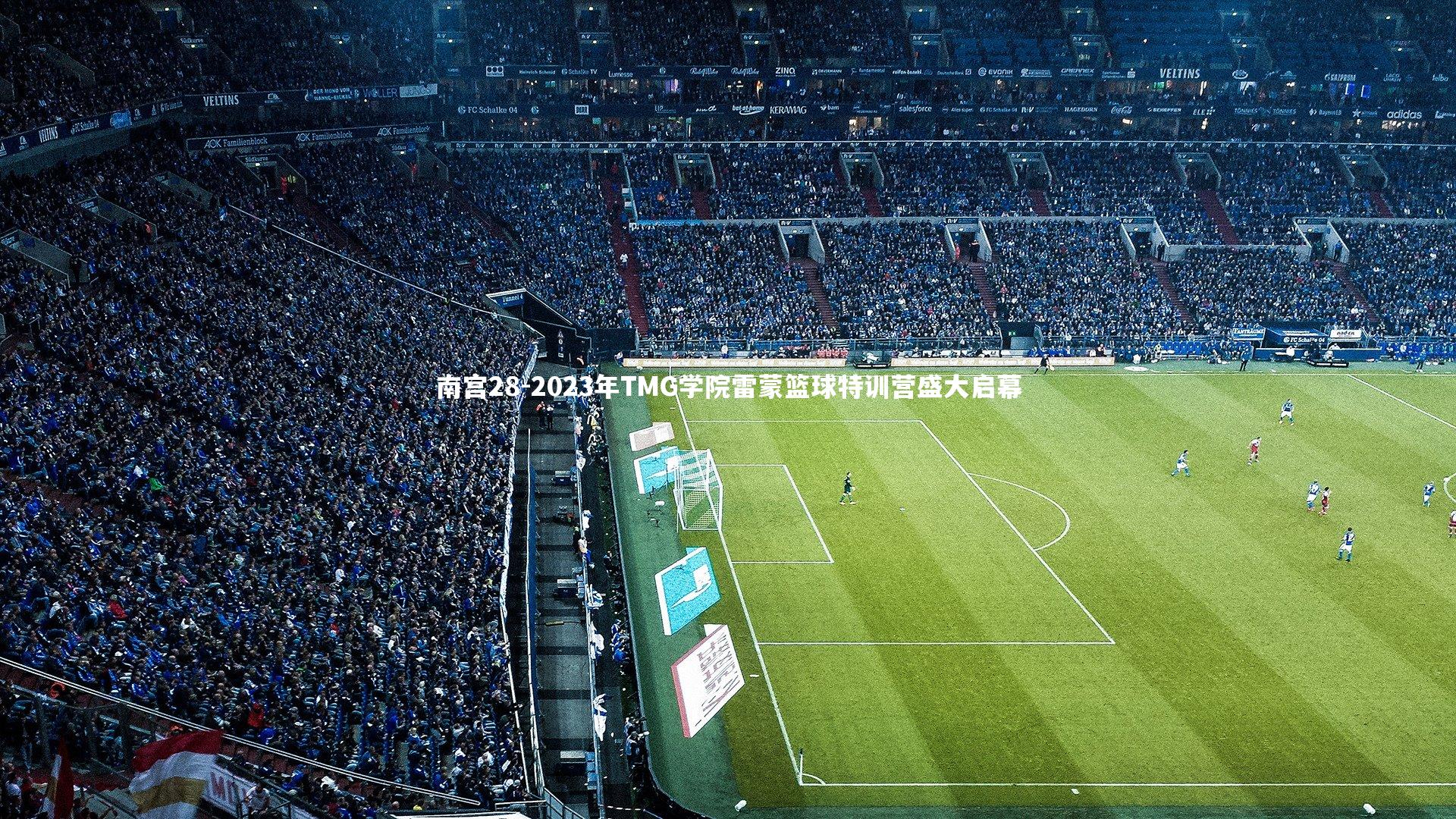 2023年TMG学院雷蒙篮球特训营盛大启幕