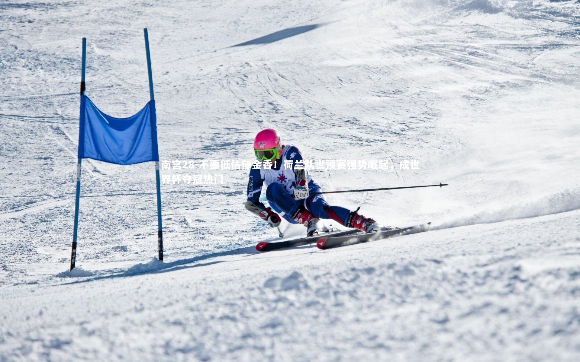 不要低估郁金香！荷兰队世预赛强势崛起，成世界杯夺冠热门